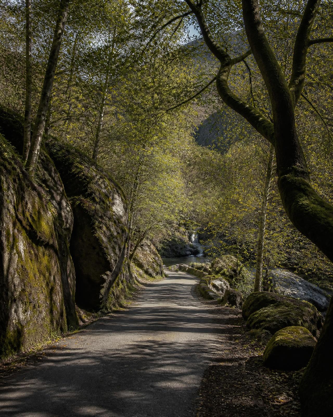 Estrada estreita ao lado de um ribeiro de montanha, entre rochas graníticas cobertas de musgo no Gerês